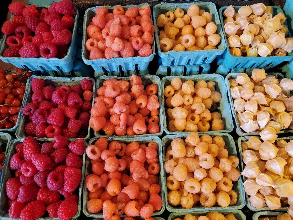 portland food tours, oregon berries, pink raspberries, providore, portland farmer's markets