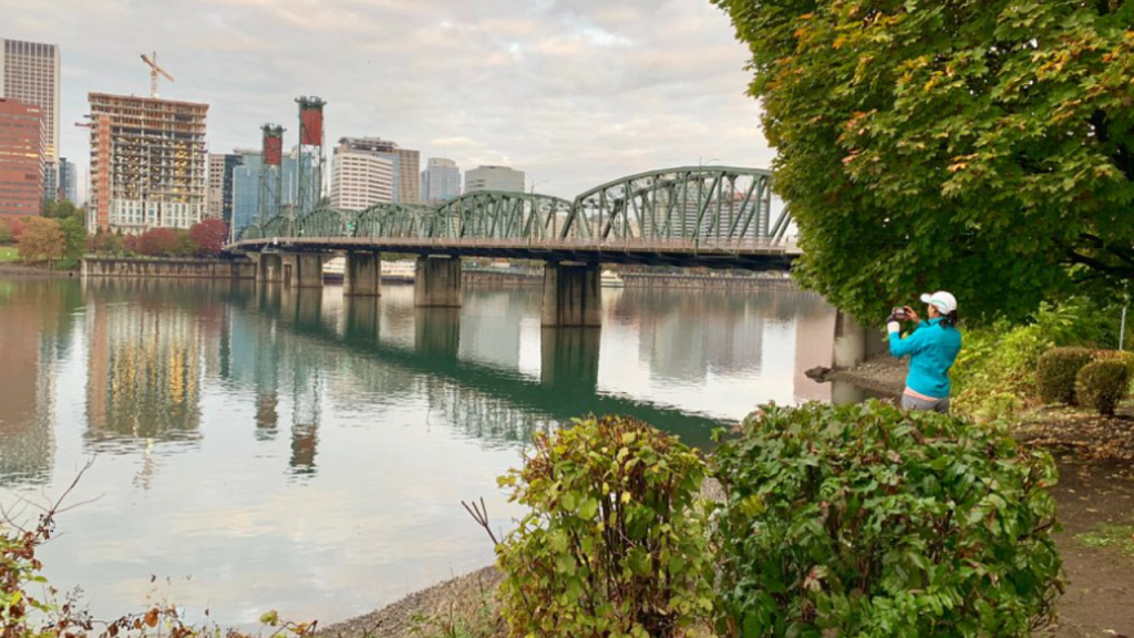 An image of the Willamette river walkway.